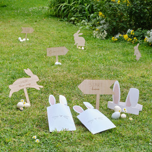 Hey Bunny Easter Egg Hunt Kit